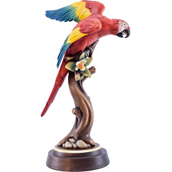 Papagayo en rama izquierdo